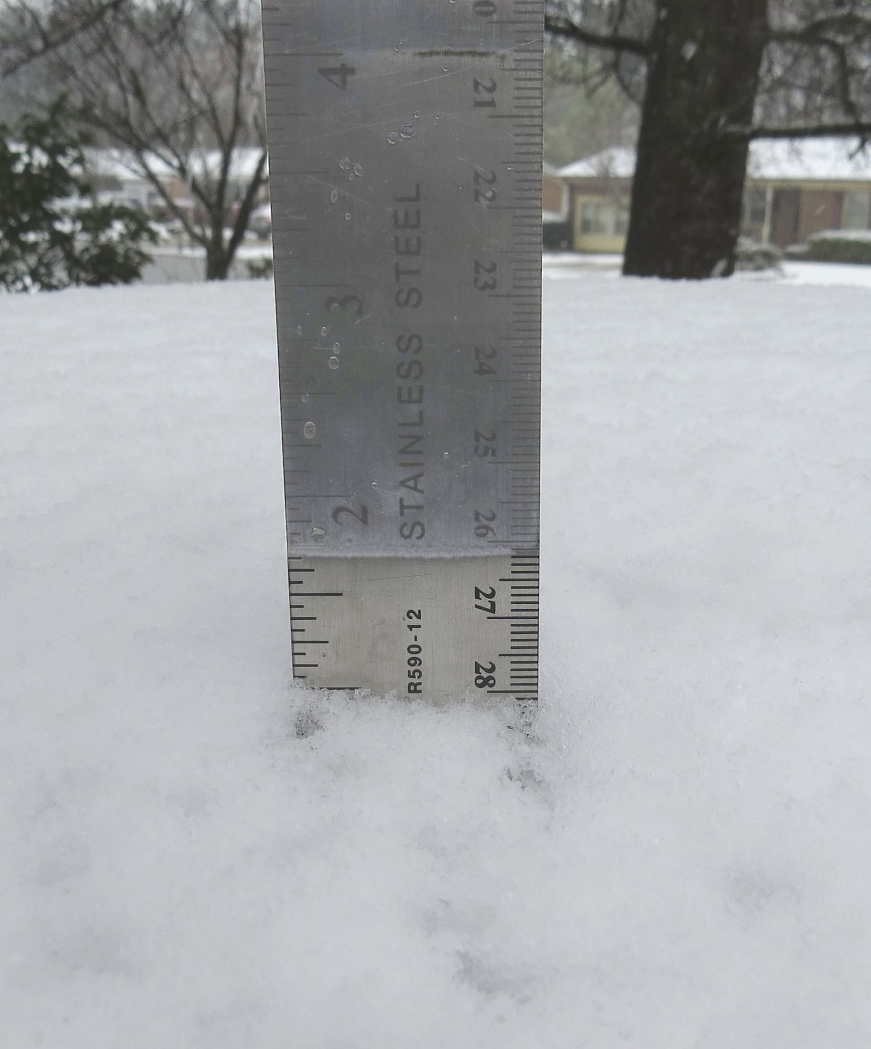 march-12-2017-carolina-snowfall